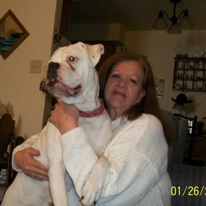 Meet your Posher, Sharon